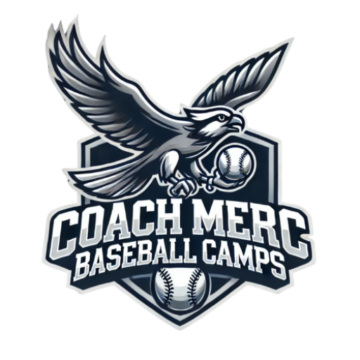 Osprey Baseball Camps at UNF logo
